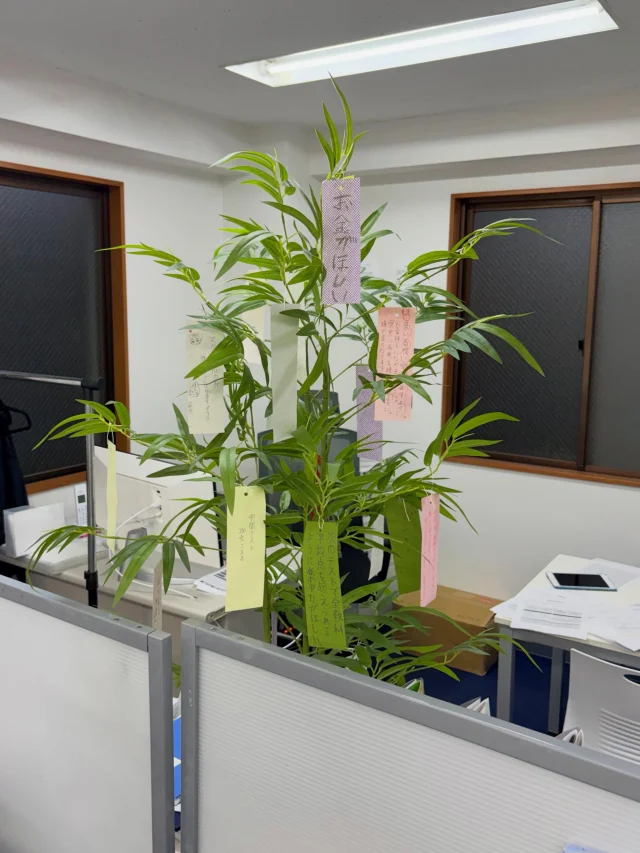 こんにちは！メイツの教室です。
もうすぐ7月ですね！🎋
ただいま教室では、七夕に向けてみんなで短冊を絶賛製作中です✨
「志望校に合格したい！」「次のテストで目標点を取る！」といった熱い目標から、ほっこりする願い事まで、カラフルな短冊がたくさん集まってきています😊
そして！来週からメイツの教室に、お菓子やアイスが買える「オフィスグリコ」が導入されます！👏🎉
勉強もリフレッシュも、メイツで一緒に全力で取り組んでいきましょう！💪🔥
#高田馬場 #個別指導 #七夕 #短冊